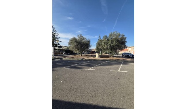 Segunda mano -  - Orihuela - Callosa De Segura