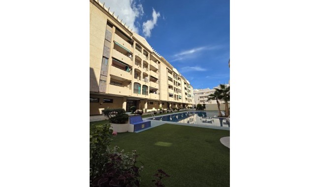Brukt - Leilighet - Torrevieja