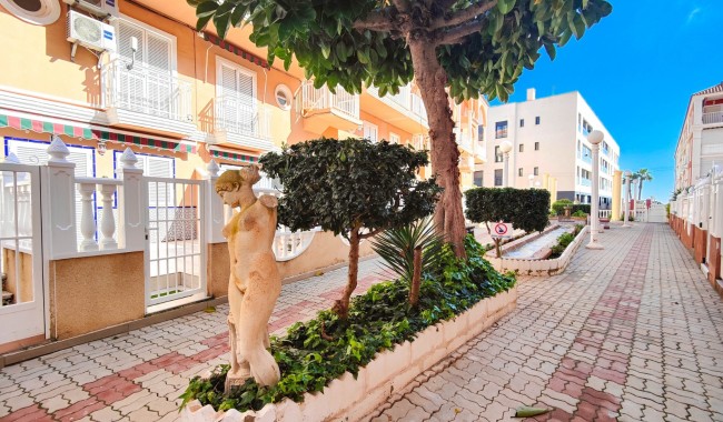 Segunda mano - Apartamento - Torrevieja - La Mata