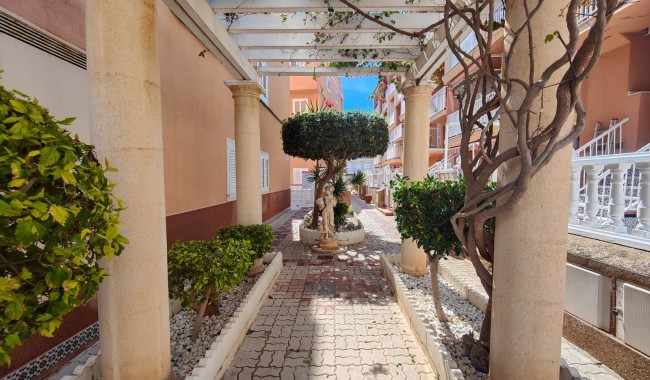Segunda mano - Apartamento - Torrevieja - La Mata