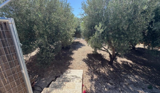 Resale - Finca - Albatera