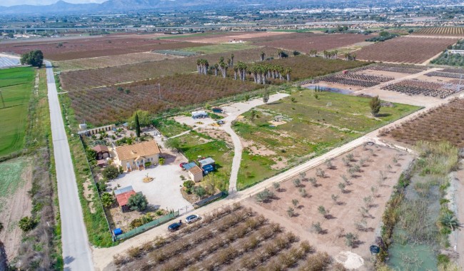 Resale - Finca - Crevillente