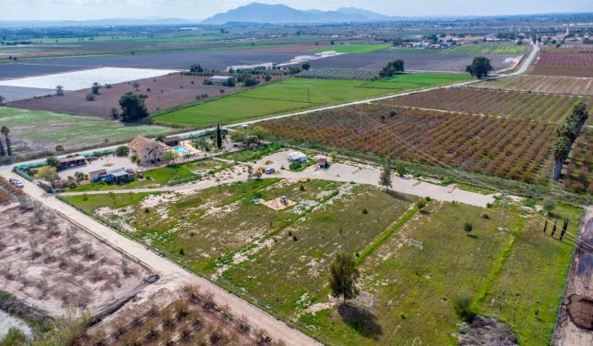 Resale - Finca - Crevillente