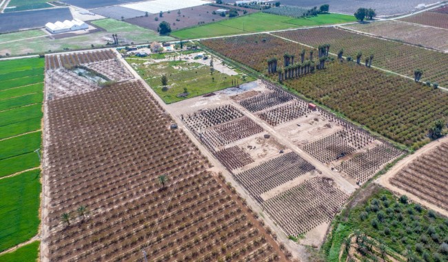 Resale - Finca - Crevillente
