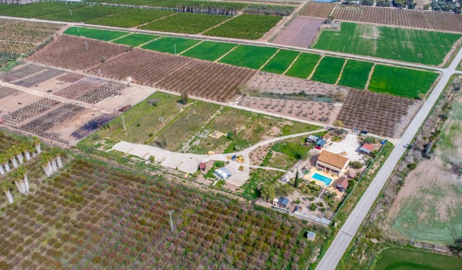 Resale - Finca - Crevillente