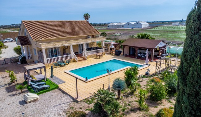 Resale - Finca - Crevillente