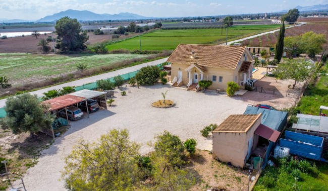 Resale - Finca - Crevillente