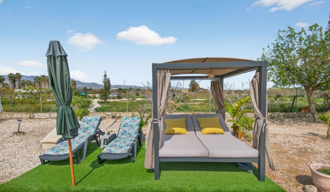Resale - Finca - Crevillente