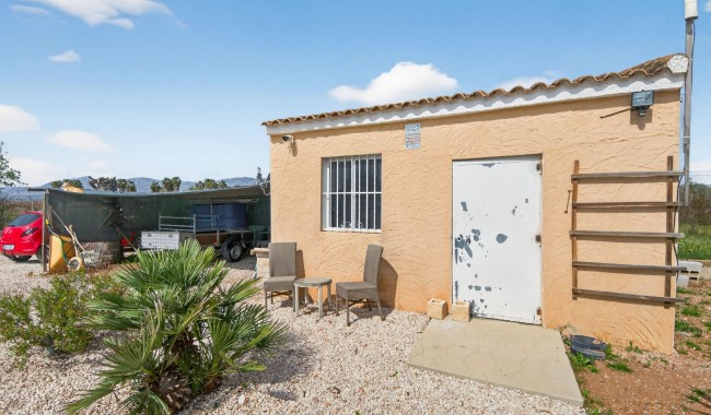 Resale - Finca - Crevillente