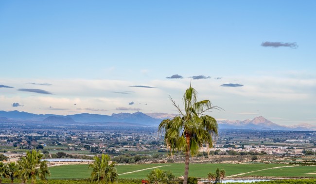 Resale - Villa - Algorfa - Lomas De La Juliana