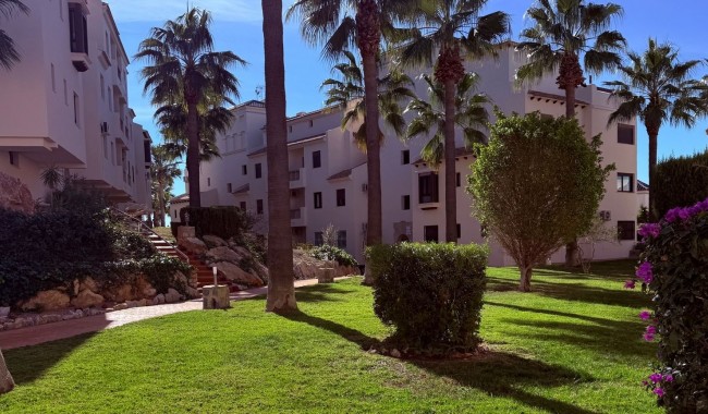 Brukt - Leilighet - Orihuela Costa - Las Ramblas