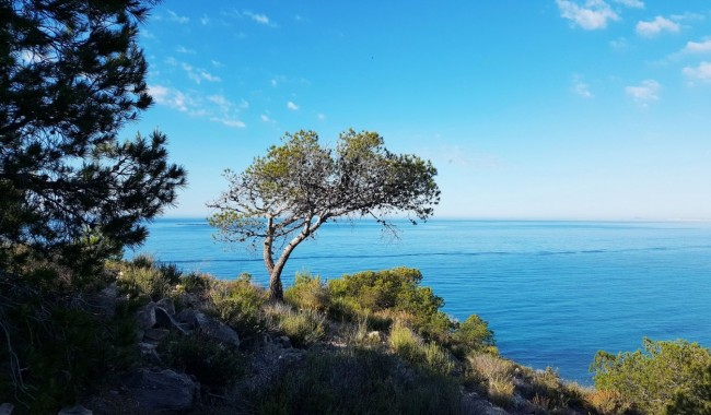 Nueva construcción  - Apartamento - Villajoyosa - Playa Les Torres