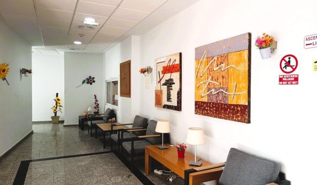 Segunda mano - Apartamento - Orihuela Costa - Cabo Roig