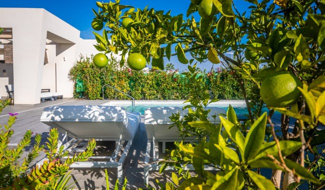 Resale - Villa - Algorfa - Algorfa Centro
