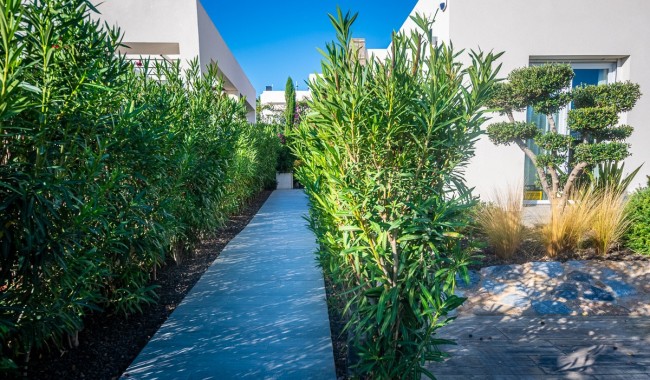 Resale - Villa - Algorfa - Algorfa Centro