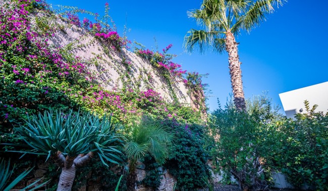 Resale - Villa - Algorfa - Algorfa Centro