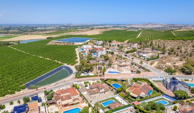 Resale - Villa - Algorfa - Algorfa Centro