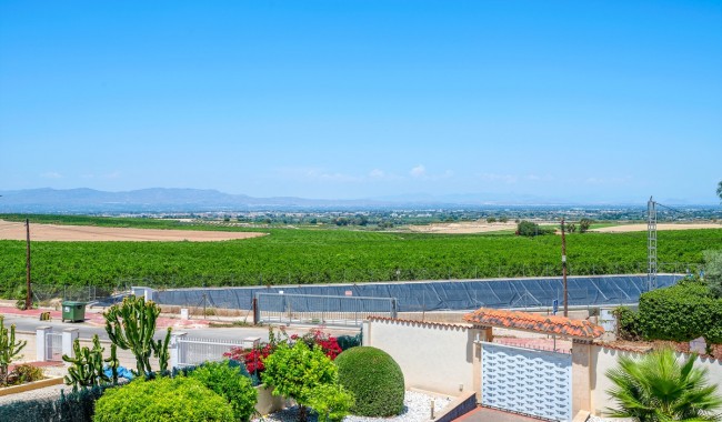 Resale - Villa - Algorfa - Algorfa Centro
