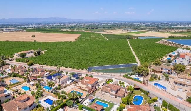 Resale - Villa - Algorfa - Algorfa Centro