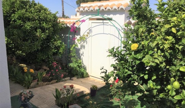 Segunda mano - Villa - Torrevieja