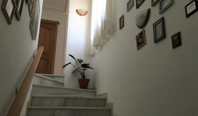 Segunda mano - Villa - Torrevieja