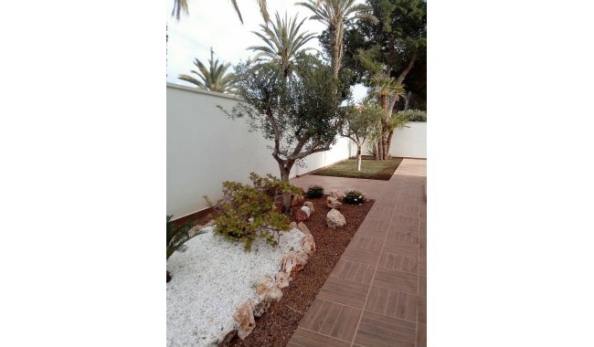 Segunda mano - Villa - Cabo Roig