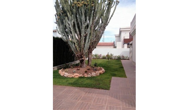 Segunda mano - Villa - Cabo Roig