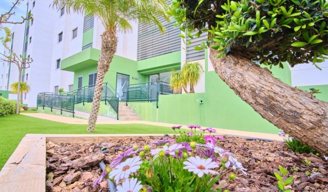Resale - Apartment - Mil Palmeras