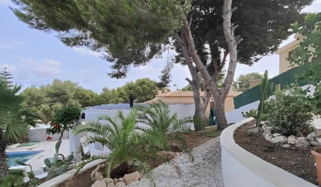 Begagnad - Villa - Torrevieja