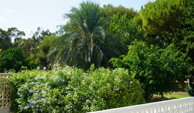 Resale - Townhouse - Orihuela Costa - Orihuela costa