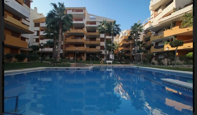 Segunda mano - Apartamento - Torrevieja