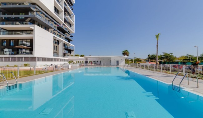 Begagnad - Lägenhet - Calpe