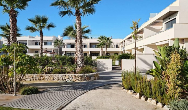 Segunda mano - Bungalow - Torrevieja