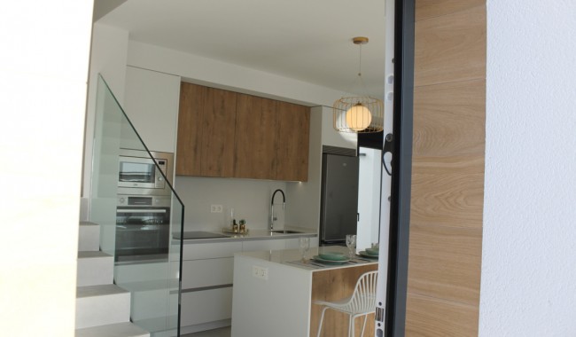 New Build - Villa - Torre Pacheco - Roldán