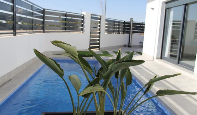 New Build - Villa - Torre Pacheco - Roldán