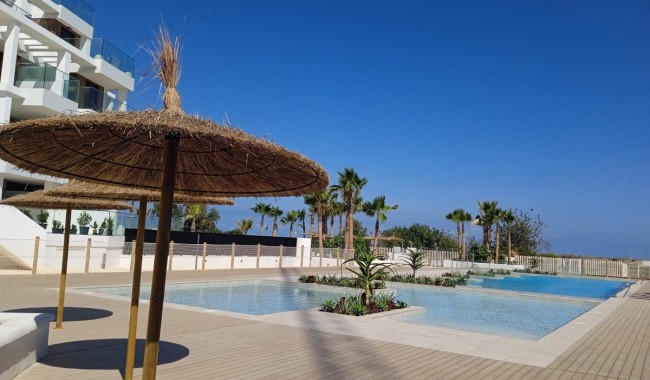 New Build - Apartment - Denia - Denia Centro