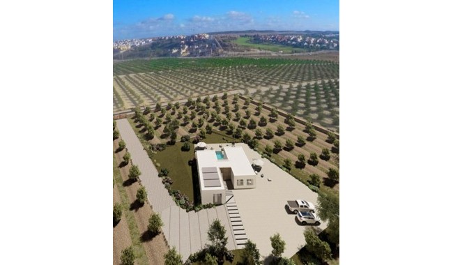 Nybygg - Villa - Algorfa