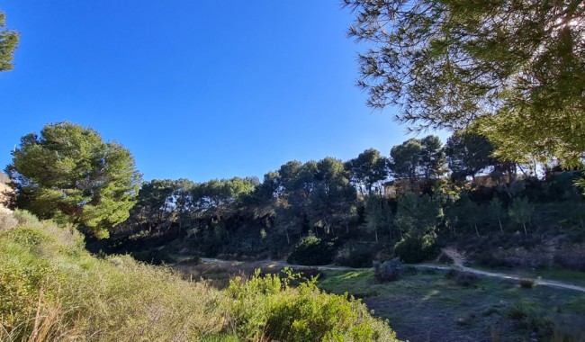 New Build - Villa - Pilar de La Horadada - Pinar de Campoverde