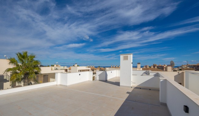 Nybyggnation - Villa - Torrevieja - Centro
