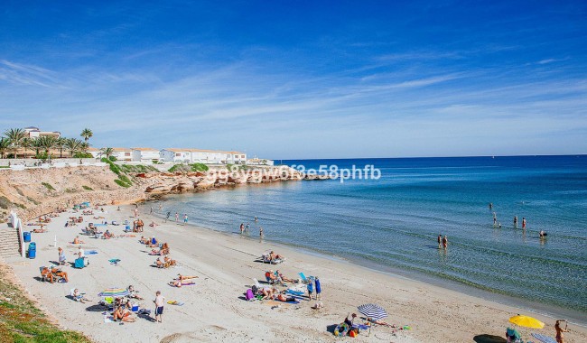 New Build - Villa - Orihuela - La Zenia