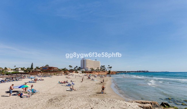New Build - Villa - Orihuela - La Zenia
