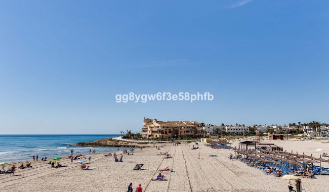 New Build - Villa - Orihuela - La Zenia