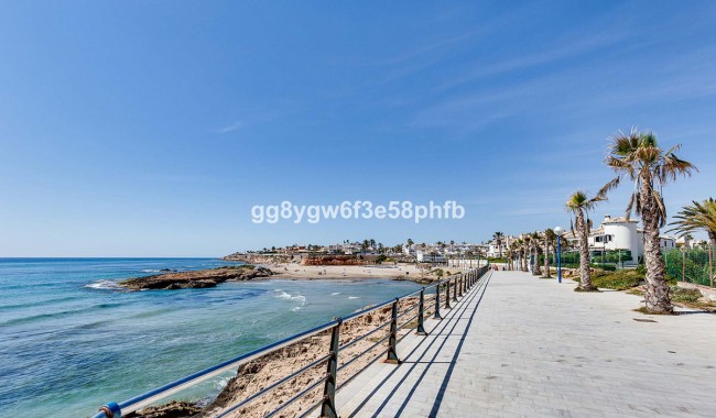 New Build - Villa - Orihuela - La Zenia