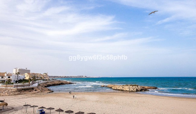 New Build - Villa - Orihuela - La Zenia