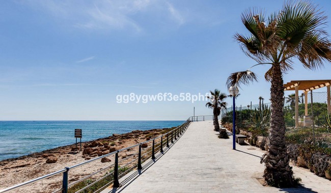 New Build - Villa - Orihuela - La Zenia