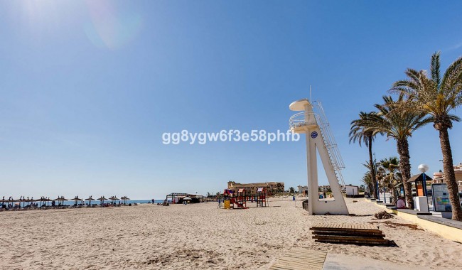 New Build - Villa - Orihuela - La Zenia
