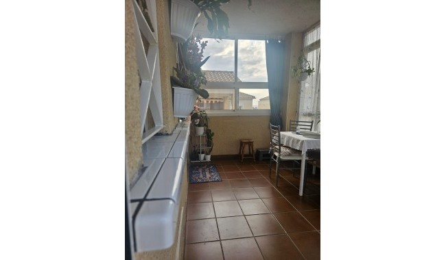 Begagnad - Lägenhet - Torrevieja