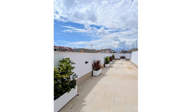 Nybyggnation - Lägenhet - Torrevieja - Centro