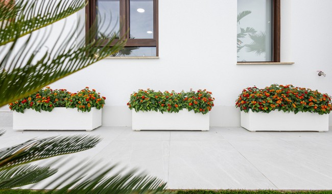 Nowa konstrukcja - Willa - Orihuela - Orihuela costa