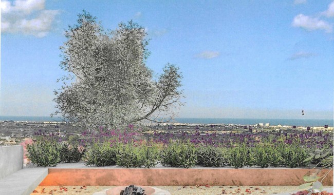 New Build - Villa - Denia - Denia Centro